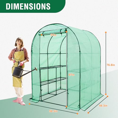 Image of EAGLE PEAK 3-Tier Walk in Portable Greenhouse with 8 Wire Shelves, Indoor and Outdoor Garden House with Roll Up Zipper Door and Windows, Easy Set Up, 56.3 inchx56.3 inchx76.8 inch, Clear /Green PE Cover