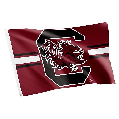 Desert Cactus University of South Carolina Flag Gamecocks USC Cocky Banners 100% Polyester Indoor Outdoor 3x5 feet Flags (Design L)