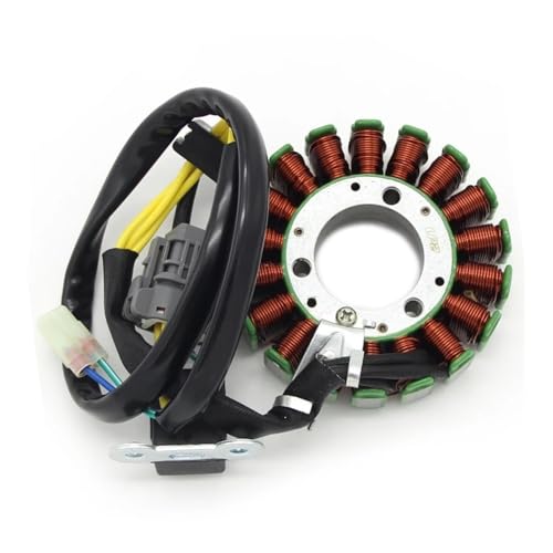 Stator de générateur VTT pour résoudre les pannes de démarrage 250 300