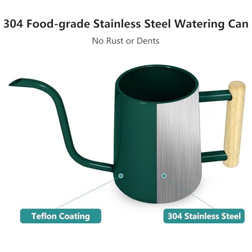 Image of Watering Can Indoor Plants, 35 oz /1000 ml Metal Stainless Steel Watering Can Pot with Long Spout for Indoor House Plants Bonsai Outdoor Garden Flower Decorative (Alpinegreen)