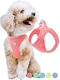 JC HOUSE Small Dog Harness, No Pull Lightweight Step-in Dog Vest, No Choke Escape Proof Reflective S