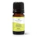Plant Therapy Jasmine Absolute Essential Oil | 100% Pure, Undiluted, Natural Aromatherapy, Therapeutic Grade | 5 milliliter (1/6 ounce)