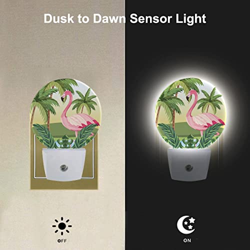 Image of EKOBLA Tropical Flamingo Night Light, Palm Tree Jungle Plug-in Nightlight with Dusk to Dawn Light Sensors for Bedroom, Bathroom, Hallway, Kitchen, Gifts Ideal for Boys Girls Women Men