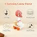 Dzpsoon Cute Desk Decor for Women, Mini Goose Reading Book, Funny Goose Office Desk Accessories, Goose Statue for Mom, Coworker, Book Lover Gift