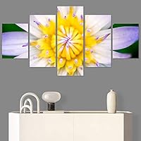 SIGNWIN 5 Panel Canvas Wall Art Botanical Chic Closeup Expressive Multicolor Photography for Home Decorations Ready to Hang - 60
