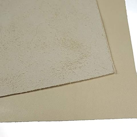 5/6 oz Vegetable Tanned Full Grain Tooling Leather Craft, 2.0mm Pre-Cut Cowhide Square Upholstery Tan (12" X 6") Cover