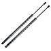 ARANA Rear Hatch Liftgate Struts Shocks for Ford Edge 2007-2014, BT7HA Trunk Lift Support Tailgate Spring Fits 2007-2014 Ford Edge Limited/SE/SEL/SEL Plus/Sport Models, 2 Pcs