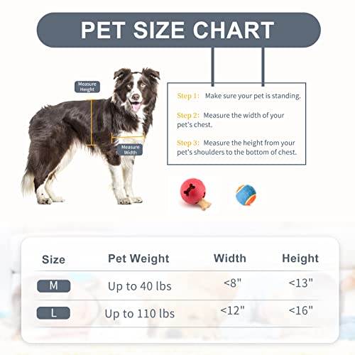 Decormax Dog Door For Wall, Energy Efficient Doggie Door With Aluminum Frame, Telescoping Tunnel, Double Magnetic Flaps And Two Sliding Lock Panels, Easy To Install, Black, Large #TOP4