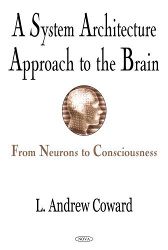 A System Architecture Approach to the Brain: From Neurons to Consciousness