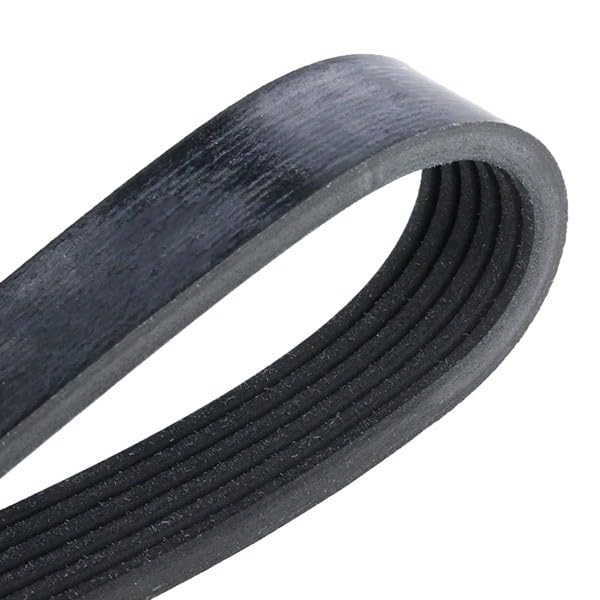 Courroie Trapézoïdale Febi-Bilstein 28953 - Compatible Peugeot 206, Citroën Xsara Et Autres Modèles