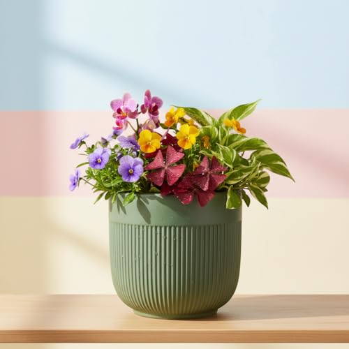 Image of Xtore Fresh Dual-Texture Ceramic Planter Pot for Indoor Plants | Contemporary Ribbed Flower Pot for Home, Office Desk & Balcony Decor (Matte Green - Planter only)