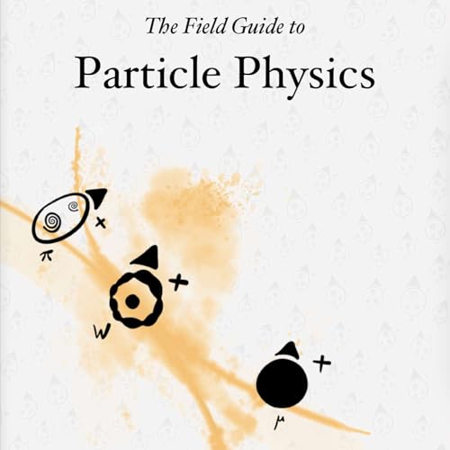 The Reason for Antiparticles