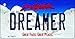 SMART BLONDE Dreamer South Dakota Metal Novelty Aluminum Key Chain KC-9971