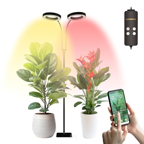 Grow Lights for Indoor Plants Full Spectrum, 20W Aluminum Floor Plant Light with APP Control, Customizable Timer, Flexible Gooseneck, 3 Spectral Modes and Stepless Dimming. (Black, 20W) Blac