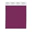 Boysenberry