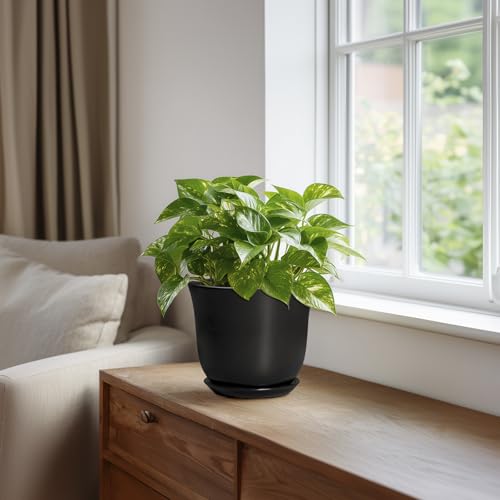 SUNPOTFOR Ceramic Planter, 5.6 Inch Plant Pot, Black by SUNPOTFOR - Used condition - Image 5