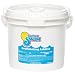 In The Swim C6025 Swimming Pool and Spa Bromine Tablets 25 lbs.