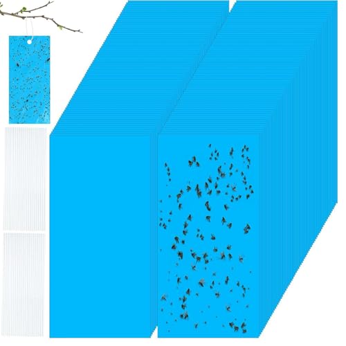 50  SV[g  QߊlS ߒV[g ߂SV[g Q΍pi  ʔS h S ȒPt Sgbv RiW~/AU~E}/AuV/nG/I/ߊl OΉ hV[g_ ͔| ƒ؉ (2