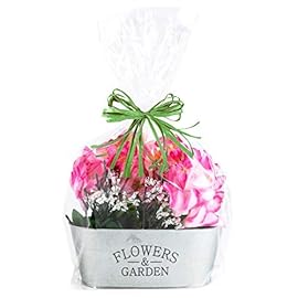 Purple Q Crafts Clear Basket Bags 16 x 24 Cellophane Gift Bags, Small 1.2 Mil Thick (20 bags)