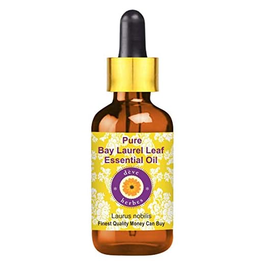 Deve herbes pure Bay Laurel Leaf eterisk olja (Laurus nobilis) Naturlig terapeutisk kvalitet ånga destillerad med glasdroppare 15ml
