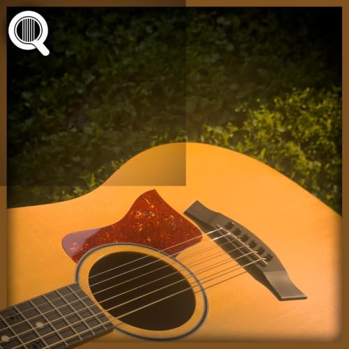 Soft Peaceful Guitar with Summer Crickets - 4 Hours - "Endless Skyway"