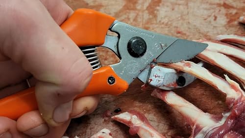 Original LÖWE Jagdschere 15.114 - mit antihaftbeschichtete und korrosionsgeschützte Klingen - zum Aufbrechen und Zerwirken von Knochen und Fleisch