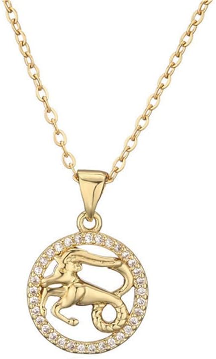 Collana PAMTIER Con Ciondolo Disco Zodiacale – 12 Segni Astrologici, Regalo Compleanno Per Donne E Ragazze, Confezione Velluto Rosso