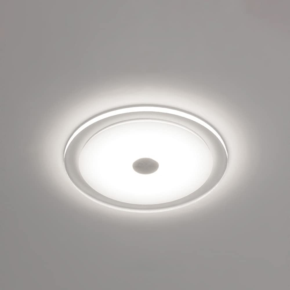 Oprawy wpuszczane LED TPMAFF, Okrągła akrylowa płytka prowadząca światło LED Wpuszczana lampa punktowa, Wpuszczana lampa sufitowa 5 W 500 Lumenów, Bardzo smukła głębokość 50 mm, Transformator w zestaw