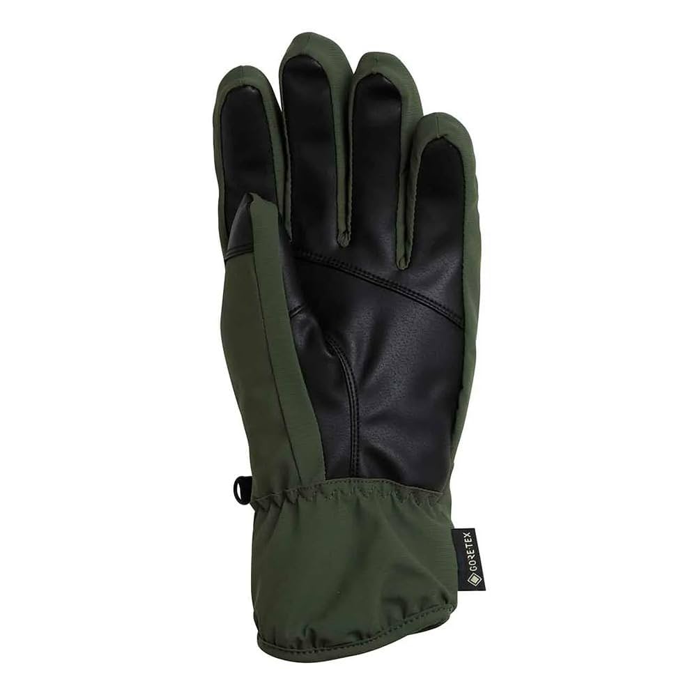 Amazon | フェニックス（PHENIX） スキー スノーボード グローブ