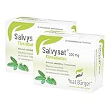 SALVYSAT 300 mg Filmtabletten 2X30 St