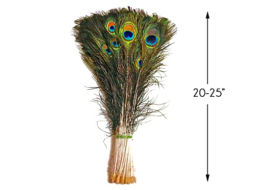 Moonlight Feather 50 Pieces - 20-25" Natural Long Peacock Tail Eye Wholesale Feathers (Bulk) Halloween Craft Supply #TOP6