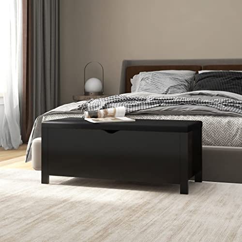 Teenpull Banco con espacio de almacenamiento, color negro, 105 x 40 x 45 cm, material de madera, cómodo como baúl para juguetes, cojines, libros, ideal para salón, pasillo, dormitorio