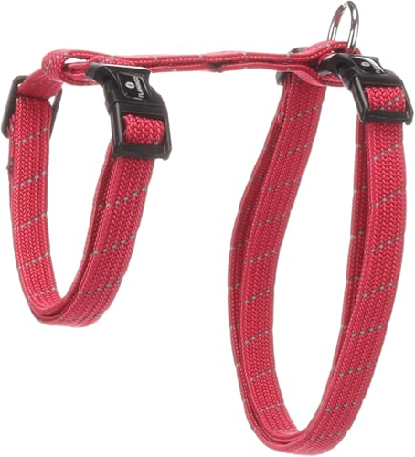 cat harness - large cat Elza coral - 22-32cm - 35-56cm - leash 120cm - adjustable nylon - reflective - with carabiner - Image 3