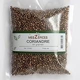 La coriandre est utilisée dans toutes les cuisines du monde pour sa saveur riche et ses notes subtiles d'agrume. Cette épice est à la base de beaucoup de mélanges d'épices.