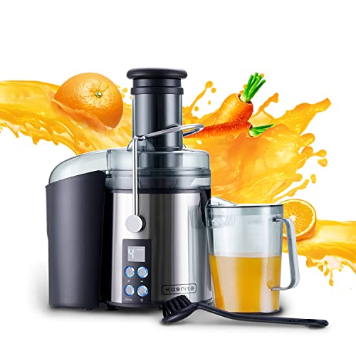 Top 15 Best Juicer For Greens Reviews 2020 RattlenHumBar