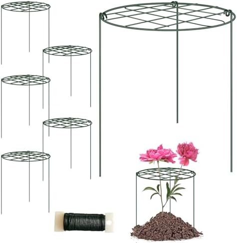 Amazon 6 Pack Peony Cages And Supports 12 X 16 Inch Grow Through amazon-6-pack-peony-cages-and-supports-12-x-16-inch-grow-through