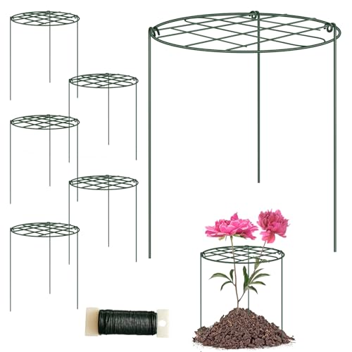 6 Pack Peony Cages and Supports 12 x 16 Inch Grow Through Plant Supports for Outdoor Plants,Plant Brace Flower Support Rings Hoops for Vegetables,Rose,Tomato,Orchids