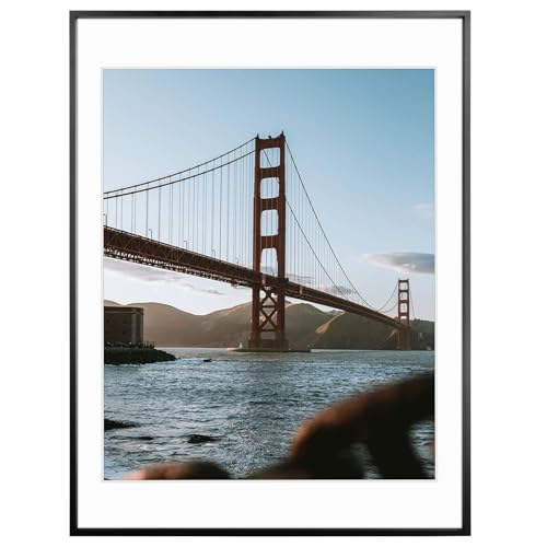 Frametory 18x24 Black Aluminum Metal Picture Frame Mat for 16x20 Glass