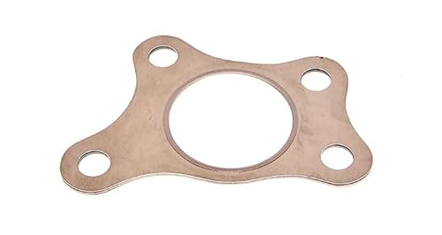 Fa1 Guarnizione Turbina