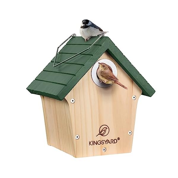 Kingsyard Wooden Bird House with Predator Guard, Wren Bird Nesting for Outdoor, Garden Patio Nest Box for Wild Bird Watching, Green