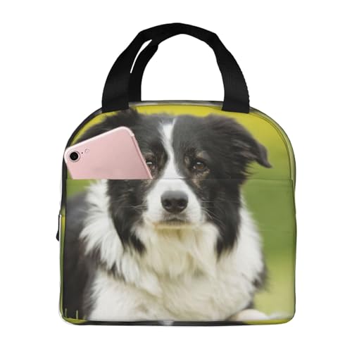 {[_[ER[  Aj GRobO ܂肽 ۗۉ `obO 킢 ۗobO t@Xi[t ubN ٓ y RpNg ۗg[gobO RrjobO Vv v[g fv55b