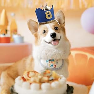 YAODHAOD-Crown-Dog-Birthday-Hat-Girl-Boy-Reusable-Birthday-Party-Cat-Kitten-HeadbandAdoption-Celebration-or-Gotcha-Day-Photos-Decorations-Party-Hat-Blue-Boy - Cucciolini Doodles   YAODHAOD-Crown-Dog-Birthday-Hat-Girl-Boy-Reusable-Birthday-Party-Cat-Kitten-HeadbandAdoption-Celebration-or-Gotcha-Day-Photos-Decorations-Party-Hat-Blue-Boy