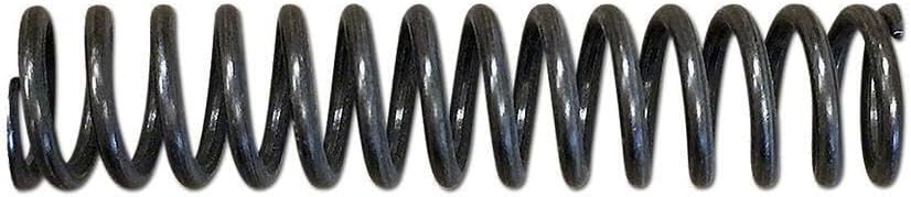 CKS3475 Oil Pump Relief Valve Spring Fits Case