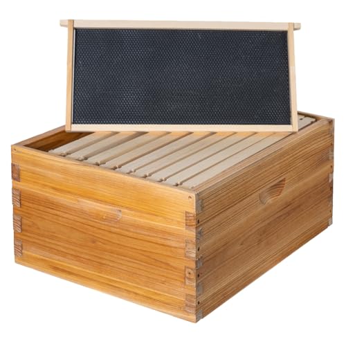Honey Lake 10 Frame Langstroth Deep Brood Bee Hive Box Dipped in Beeswax Sections of Wood for Beehives Includes Beehive Frames and Waxed Foundations (Unassembled)