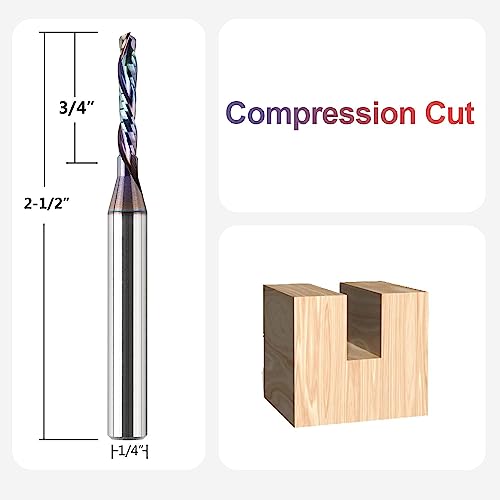 Image of SpeTool 1 /8 Inch Spiral Router Bits Up Down Compression Bit 1 /4 Inch Shank with Coated, Carbide CNC Router Bit End Mill for Woodwork Cutting Carving Engraving Tools