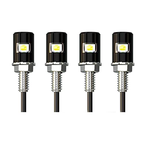 Anki Happigo 4Pcs Car License Plate Light, License Screw Bolt Led Lamp, 12V Waterproof License Plate Led Bulb For Car Motorcycle Truck Rv Atv Bike(Ice Blue) #TOP1