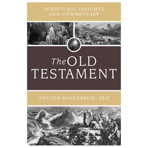 Scriptural Insights and Commentary Audiolibro Por Taylor Halverson arte de portada