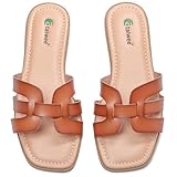 Ataiwee Sandalias para mujer, cómodas y elegantes, planas de verano, plantillas suaves, elegantes zapatillas de verano, De Marrón Claro, 37 EU