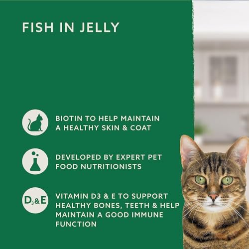 by Amazon Katzenfutter, nass, getreidefreies, für ausgewachsene Katzen, Fisch-Auswahl in Gelee, 4,8 kg (48 Packungen à 100 g)