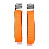 COGEX - Gurt, Schnallengurt – Metallschnalle – Länge: 2,5 m – Maße: 2,5 m x 25 mm – 2 Stück – Breite: 25 mm – robust – einfach zu bedienen – ideal für mehrere Anwendungen